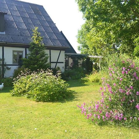 Byens Rareste B&B Harlev  Exteriér fotografie