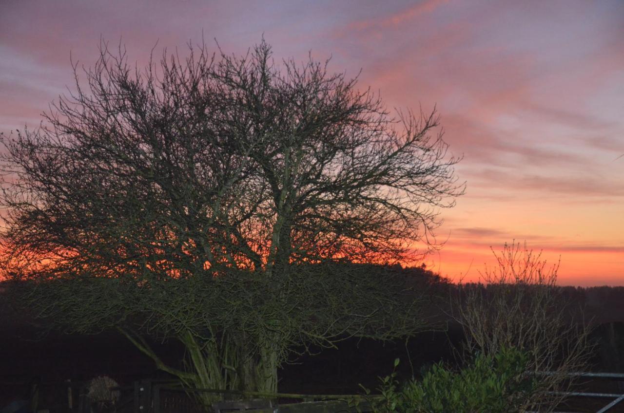 Byens Rareste B&B Harlev  Exteriér fotografie
